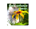 Magnit6